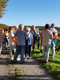 Wanderung auf dem Mrikepfad 15.10.17