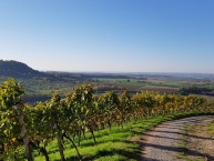 Wanderung auf dem Mrikepfad 15.10.17