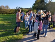 Wanderung auf dem Mrikepfad 15.10.17